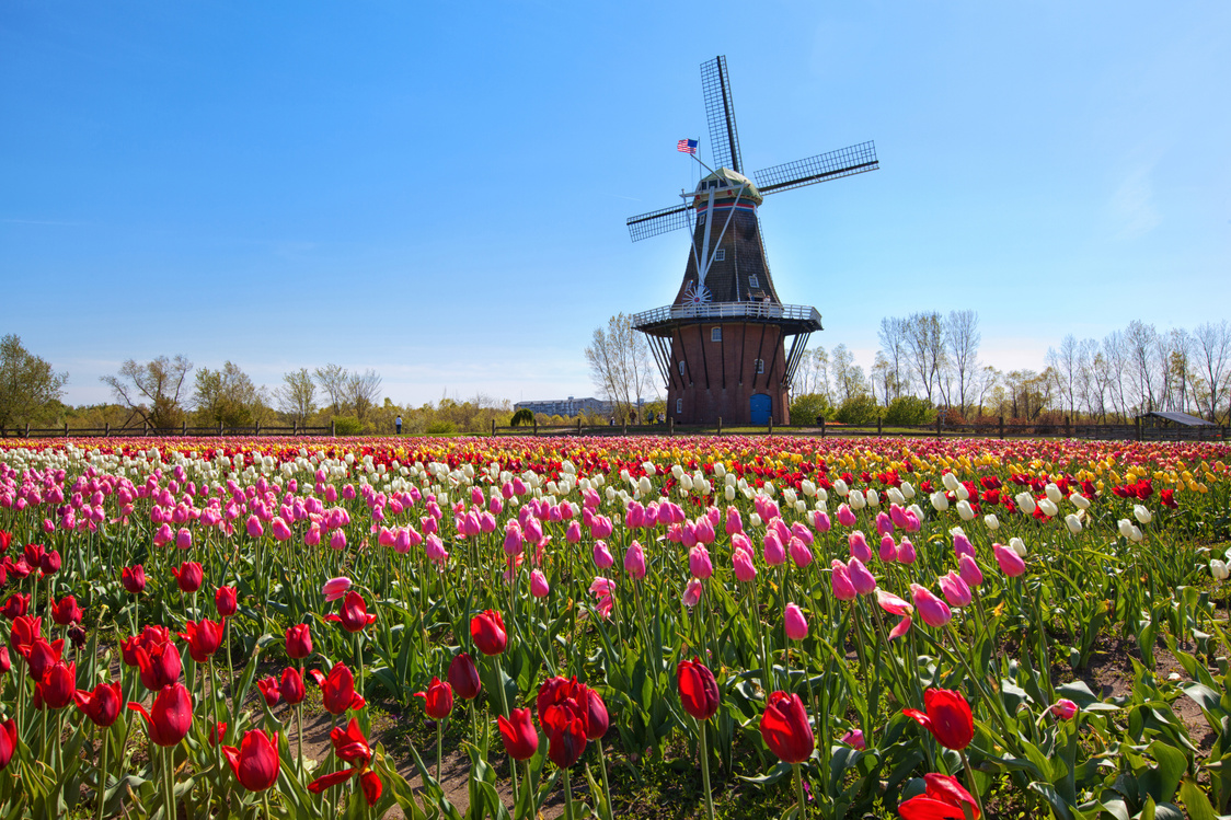 Wooden Windmill in Holland Michigan